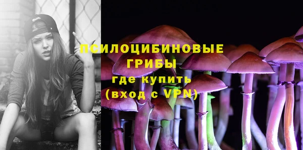 MESCALINE Нефтекумск
