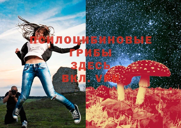 MESCALINE Нефтекумск