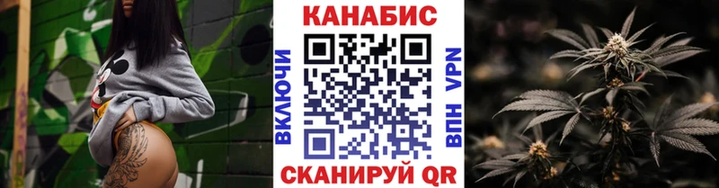 Бошки Шишки семена  Каневская 